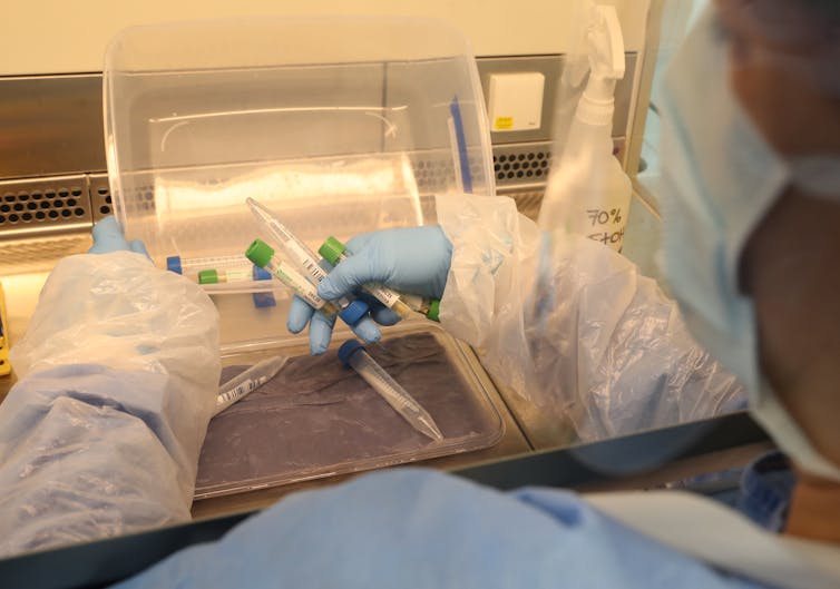 A lab technician holds coronavirus test saples in a lab.