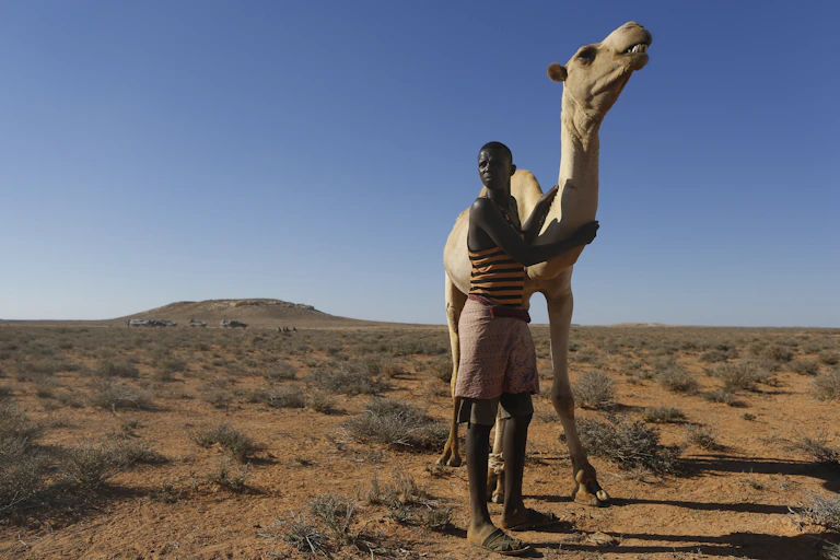 Young man poses with camel in desert scrub landscape.