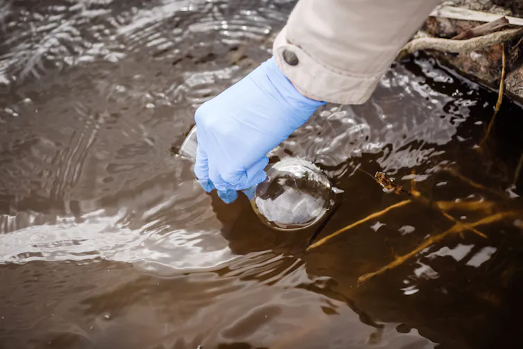 A gloved hand collects a river water sample.