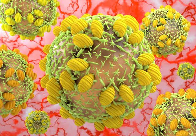A 3D rendering of the hepatitis C virus.