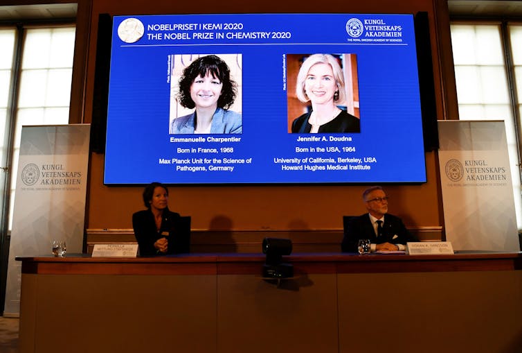 award announcements with winners projected on a slide