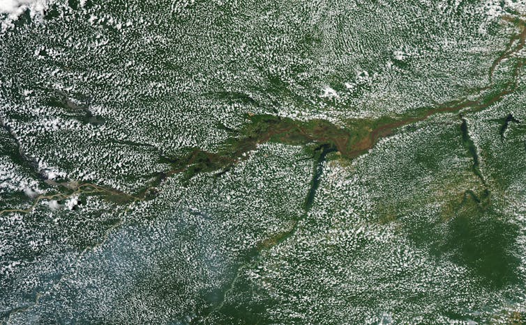 Vivimos en un mundo globalizado. Un día enferma Donald Trump y al día siguiente caen las Bolsas de medio mundo. Fenómenos que ocurren en una localidad se transmiten rápidamente hasta regiones distantes, repercutiendo en todo el planeta.