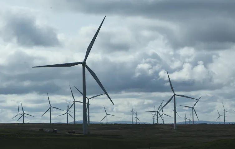 A field full of wind turbines.