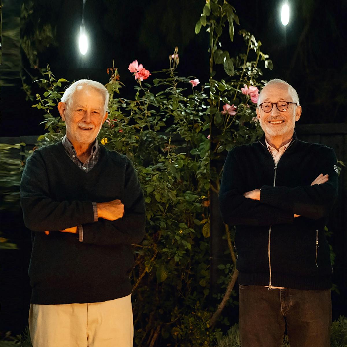 Making auctions work: the winning ideas behind this year's Nobel Prize in economics