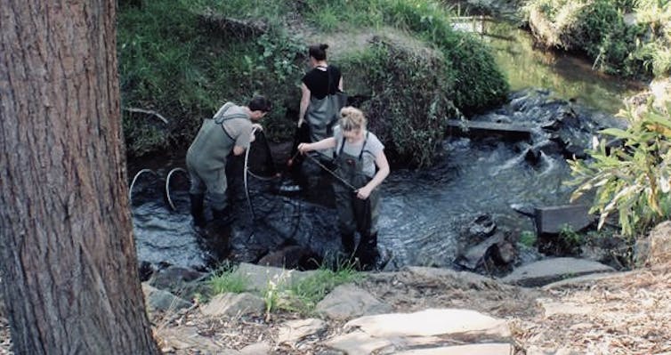 Scientists working in a creek