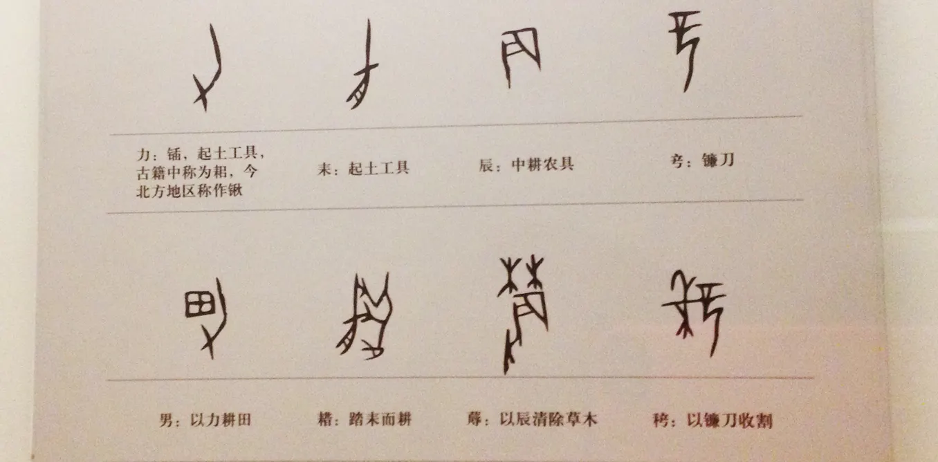 Un-doing the tián (field): Mandarin language and the shift away from ...