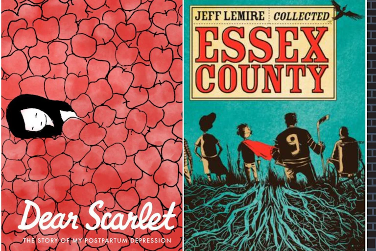 (Three grahic novel book covers)