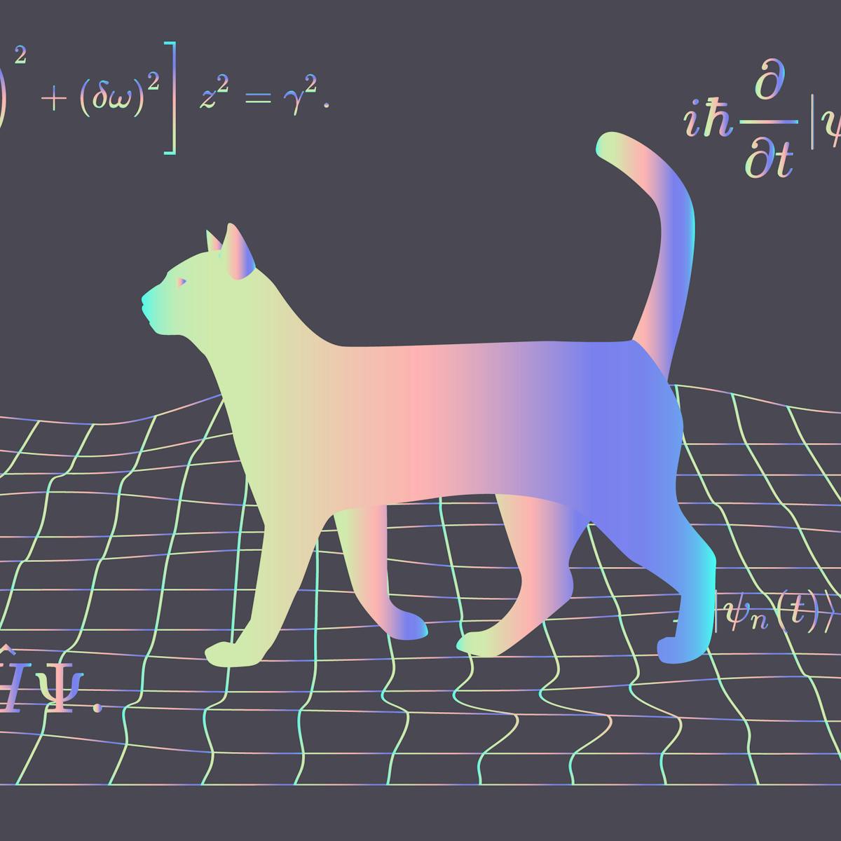 Could Schrödinger's cat exist in real life? Our research may soon provide  the answer