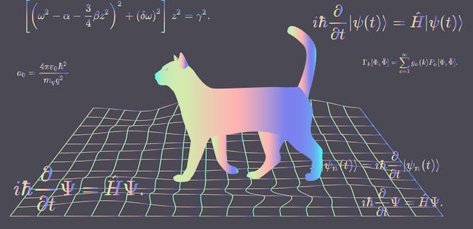 schrodinger s cat news research and