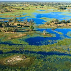 research paper about oil exploration