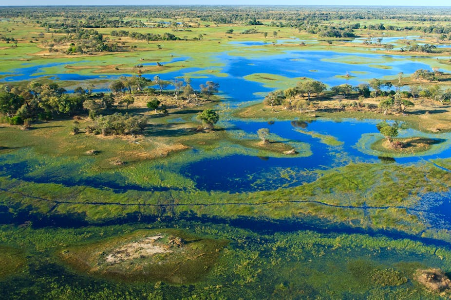 An aerial View of Okavango Delta in Botswana.