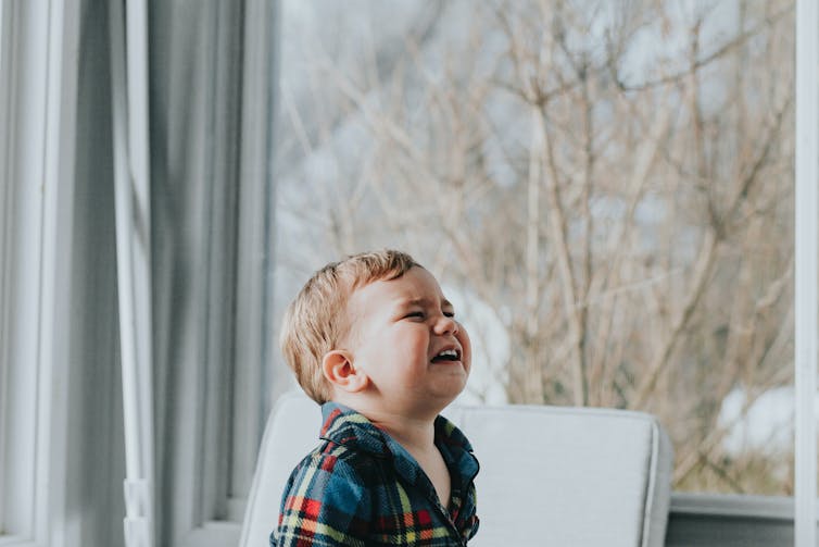 A baby boy in a plaid shirt throws his head back and cries.