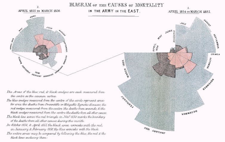 A wedge style diagram with grey, pink and black areas indicating different causes of death.