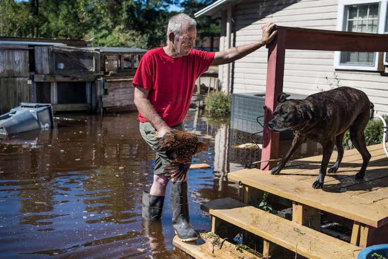 George Aubert rescues one of his chickens from rising floodwaters caused by remnants of Hurricane Matthew after it struck Fair Bluff, North Carolina, in 2016.