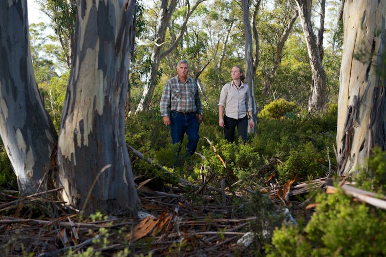 Two people walking through Tasmanian forest