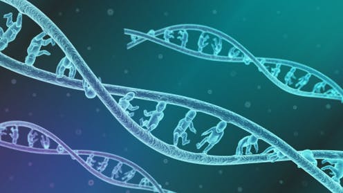 Hay descubrimientos que nos dejan con la boca abierta. Hoy deseo hablar del último de ellos. Se tata del hallazgo de que el sexo en los mamíferos podría no venir determinado por un gen completo. Al menos en ratones, parece que un pedazo de un gen decide en la gestación de un nuevo ser si será macho o hembra. ¡Tiene gónadas la cosa!