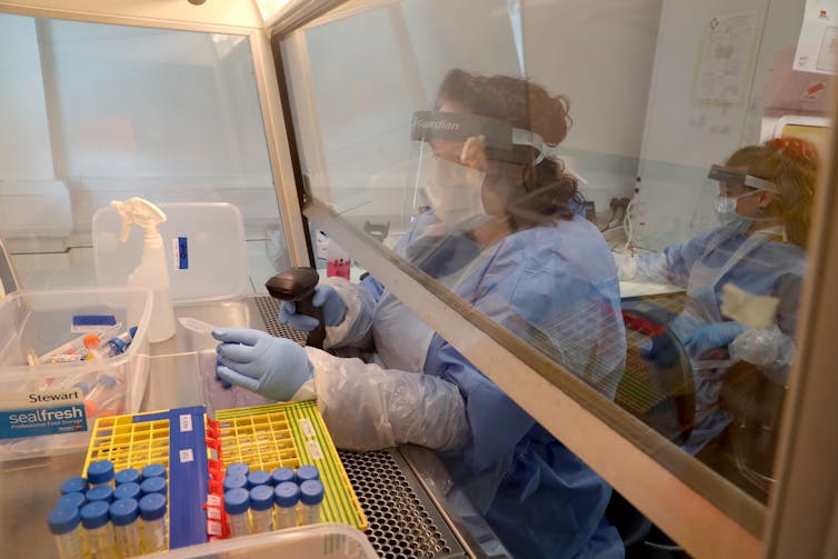 A woman in PPE handles lab samples in a cabinet.