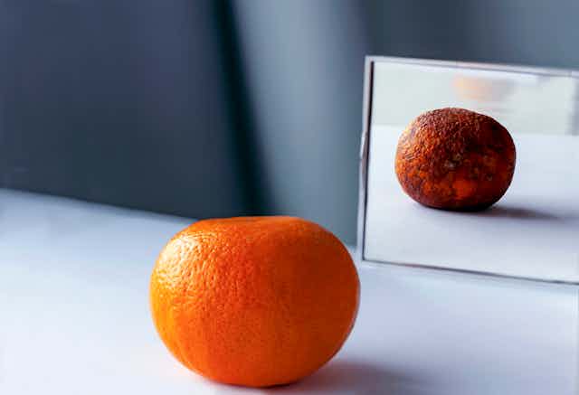 A fresh orange is placed in front of a mirror, while its reflection is aged