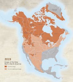 Map showing current and former wolf ranges in North America