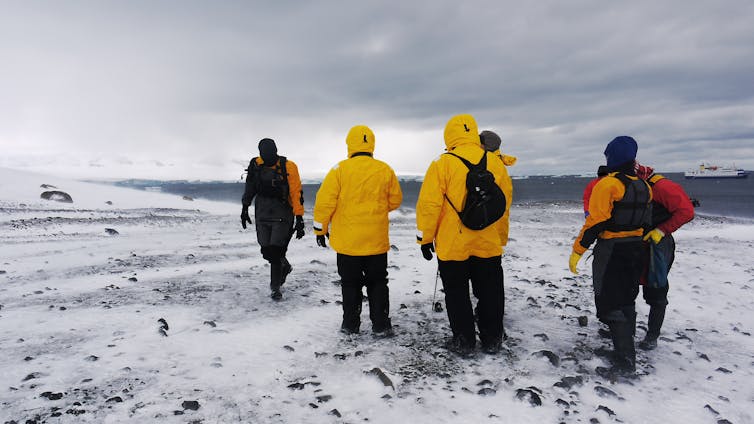 Six tourists standing on ice with their backs to the camera