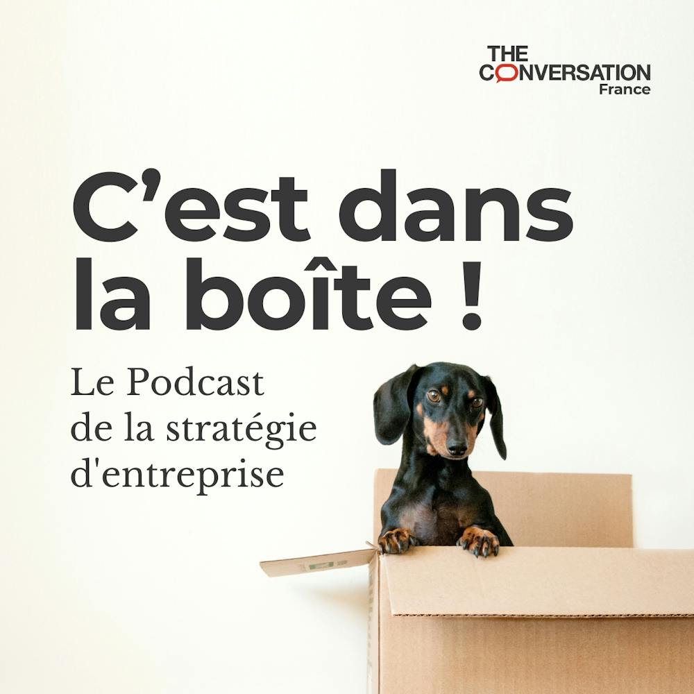 Podcast Sur les réseaux sociaux aussi, « la mauvaise monnaie chasse la bonne Podcast Sur les réseaux sociaux aussi, « la mauvaise monnaie chasse la bonne