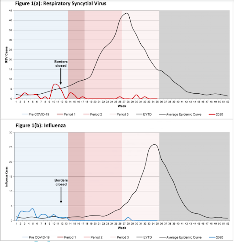 Comparación da detección do virus respiratorio sincitial (1a) e do virus da gripe (1b) en nenos, na área metropolitana de Australia do Oeste no final do inverno de 2020 (liñas vermellas e azul) e a media dos últimos anos (2012-2019, liña negra).