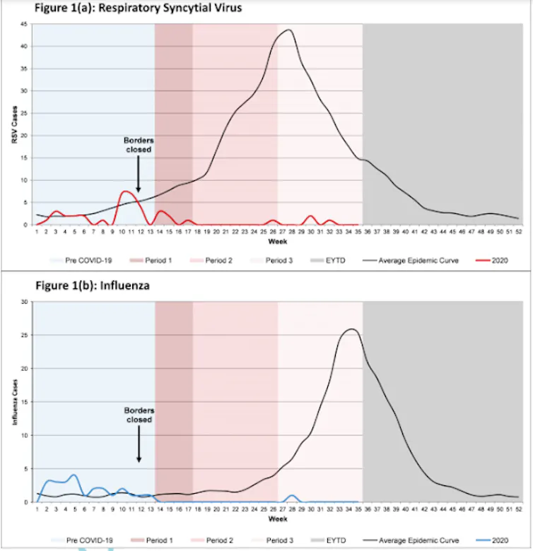 Comparación da detección do virus respiratorio sincitial (1a) e do virus da gripe (1b) en nenos, na área metropolitana de Australia do Oeste no final do inverno de 2020 (liñas vermellas e azul) e a media dos últimos anos (2012-2019, liña negra).