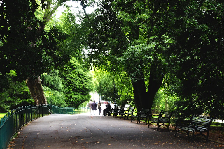 Pathway with benches in park