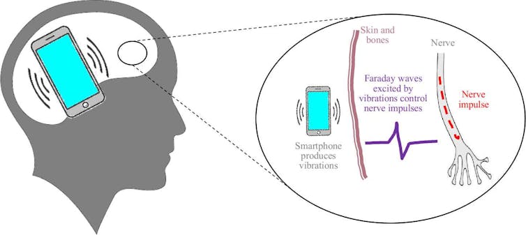 We vibrated earthworms to learn about safely connecting human brains to computers