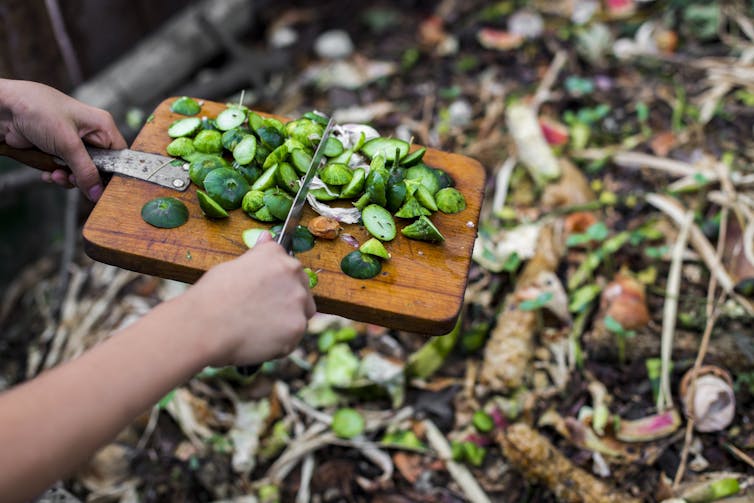 Enfant mettant des pelures de légumes au compost