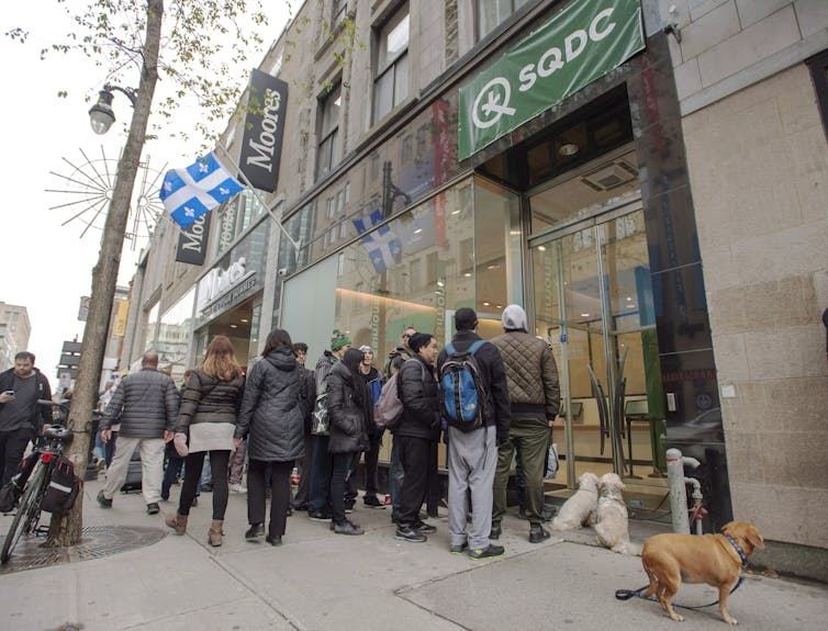 People line up, with their dogs in the foreground.