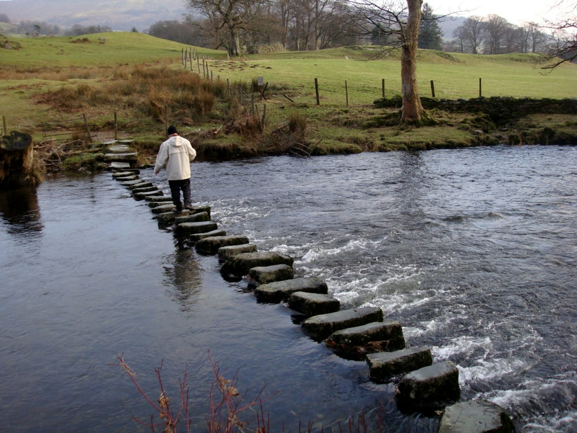 Stepping stones the slippery path to a clean energy future