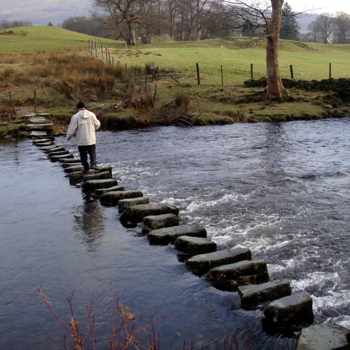 Stepping Stones The Slippery Path To A Clean Energy Future