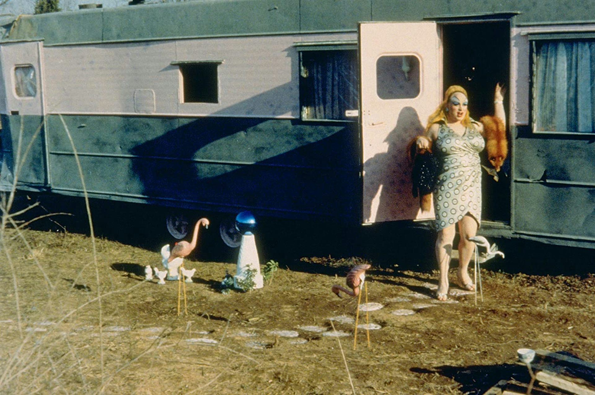 Pink Flamingos &ndash; 'one of the most vile, stupid and repulsive films ever made'?