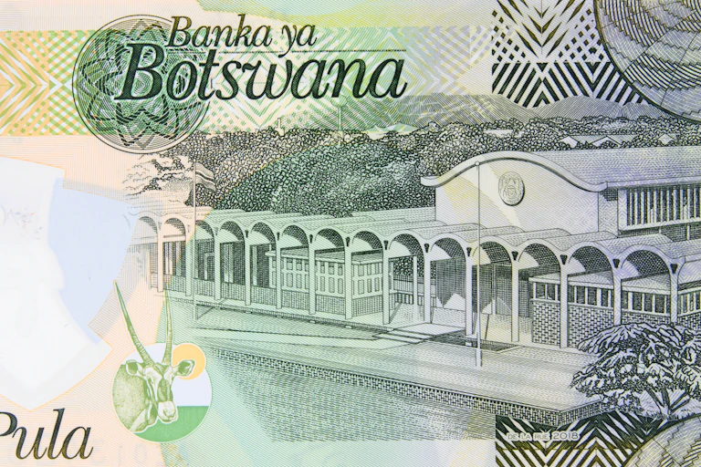 Botswana's 10 Pula banknote