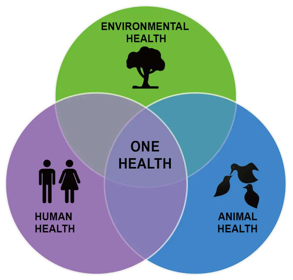 The 'One Health' Concept Must Prevail to Allow Us to Prevent Pandemics