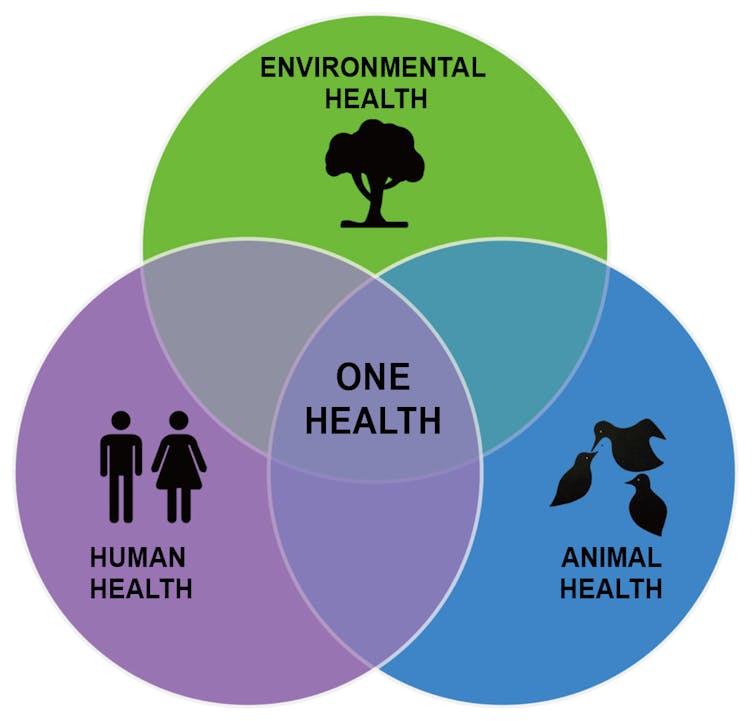 The 'One Health' Concept Must Prevail to Allow Us to Prevent Pandemics
