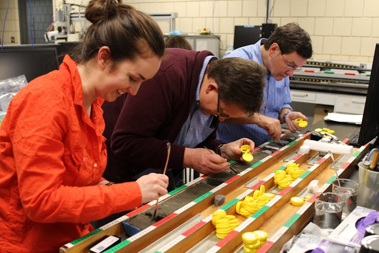 scientists working with a cross-section of a sediment
core