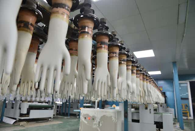Medical gloves in production.