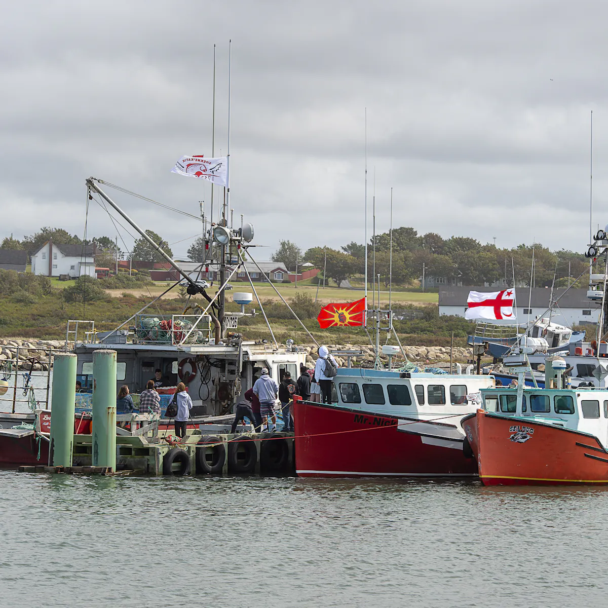 Nova Scotia Lobster Dispute Mi Kmaw Fishery Isn T A Threat To Conservation Say Scientists