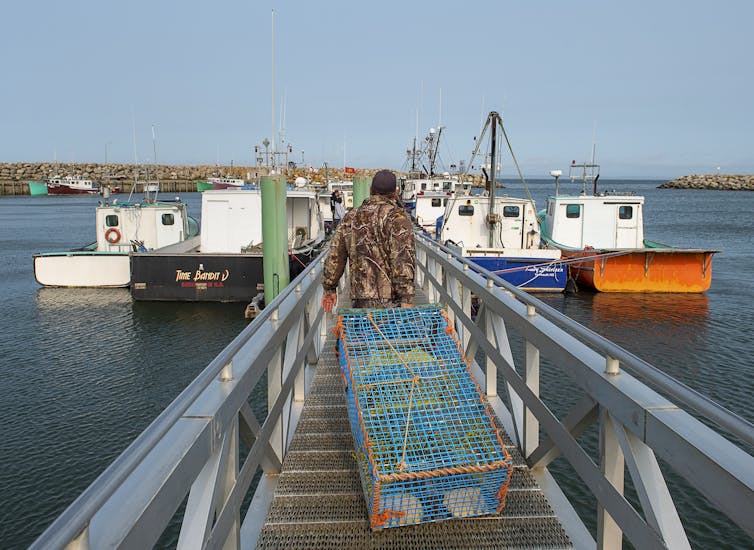 A man hauling a lobster trap down a ramp to waiting boats.