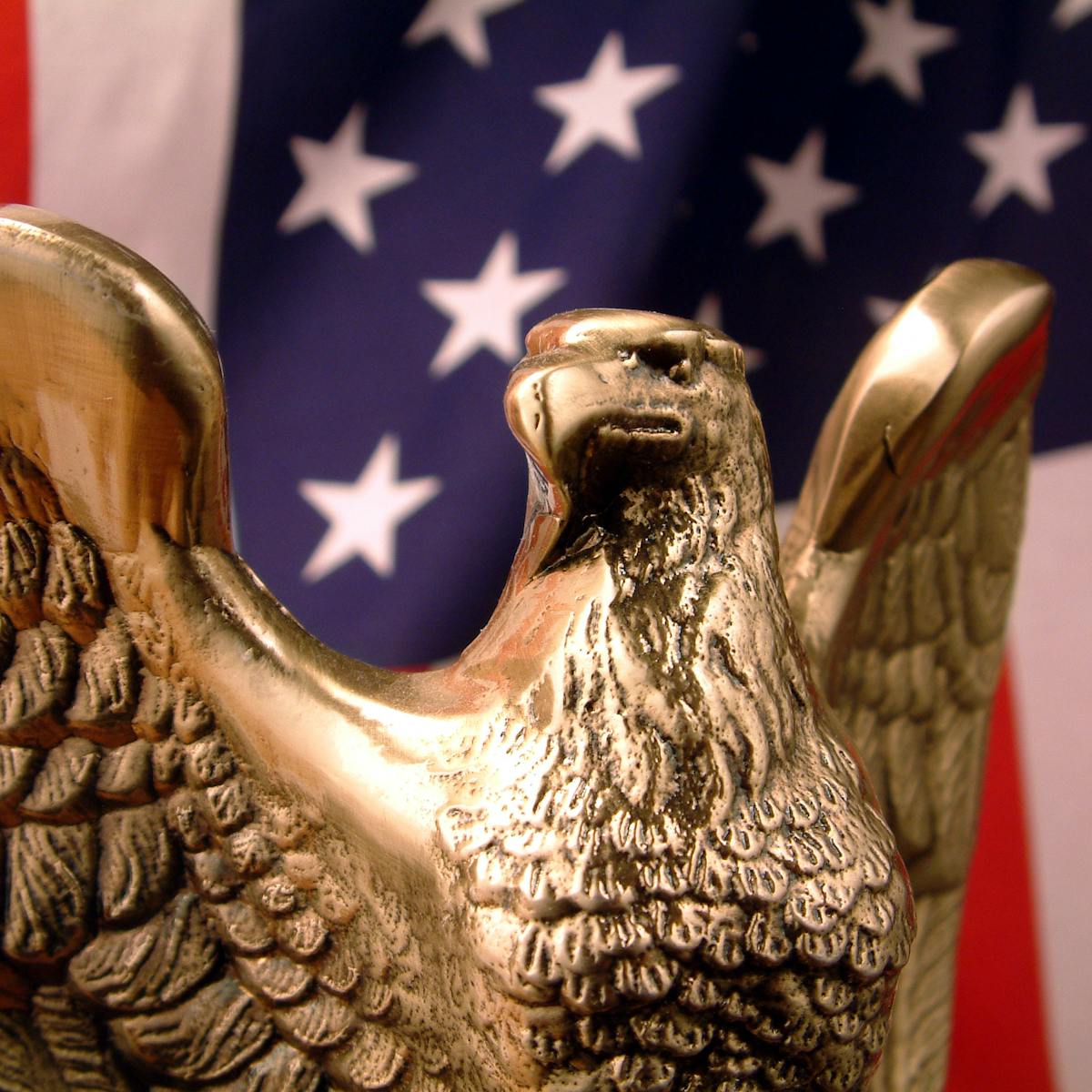 Election 2020 89 Articles To Teach You About How American Elections Really Work