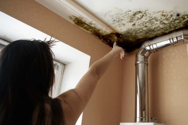 Woman points at mould on ceiling of room