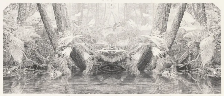 pencil drawing of fern undergrowth
