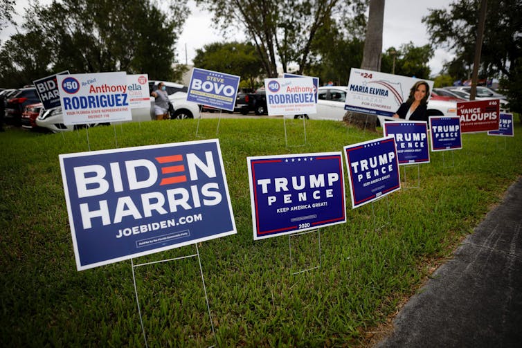 Campaign signs on a lawn.