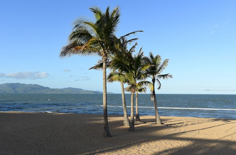 Beach in Townsville.