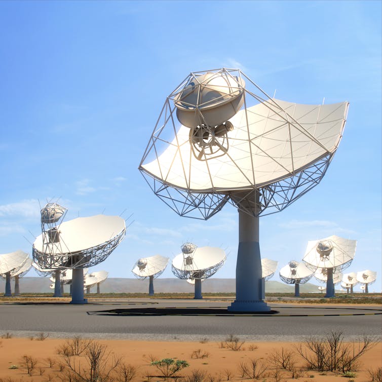 A field of next generation radio telescopes.