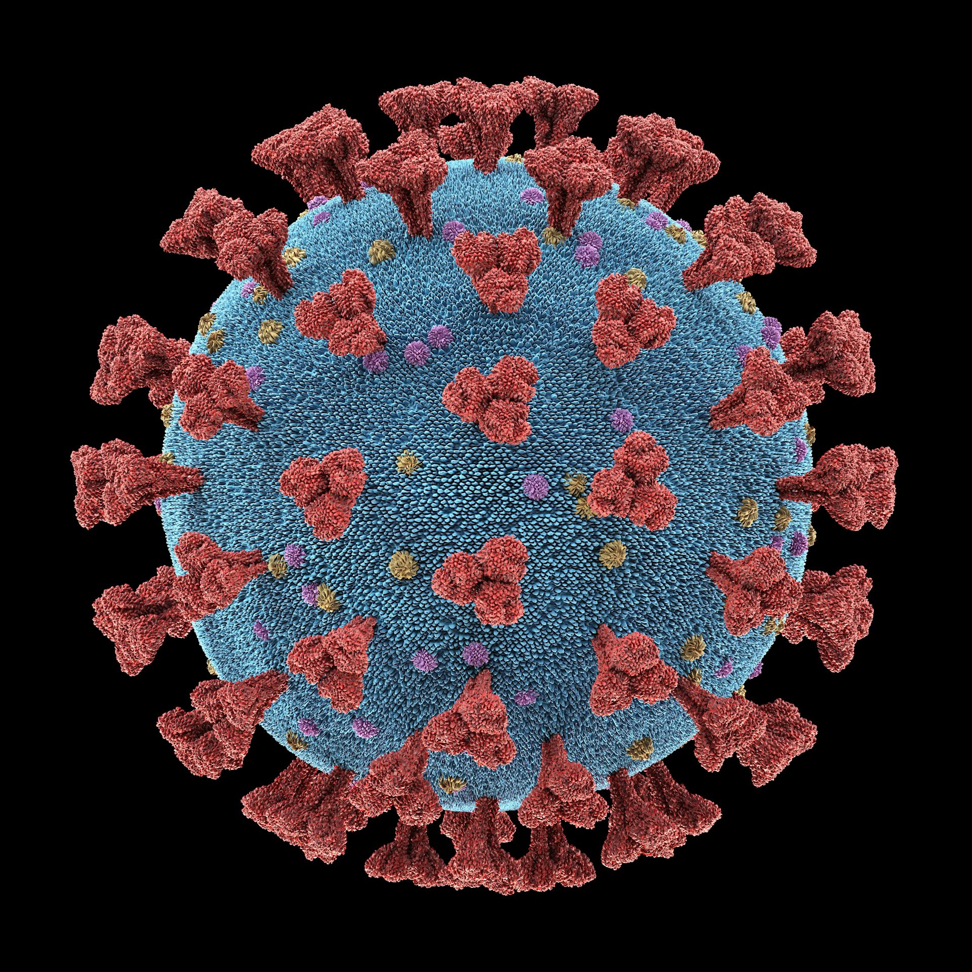 фото разных вирусов