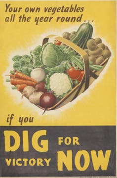 Poster with the phrase Your own vegetables all the year round... if you dig for victory now