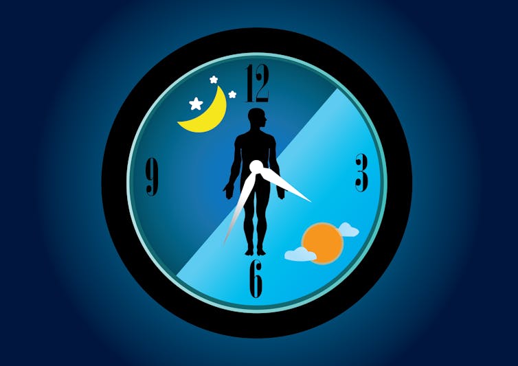 Our body is controlled by internal 'clocks' which regulate all our body's functions.